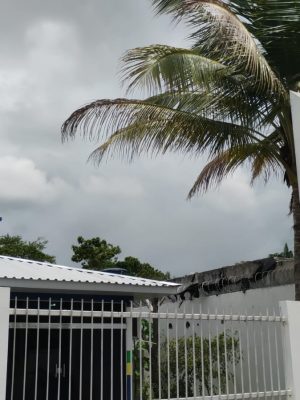 A Polícia Civil do Amazonas (PC-AM), por meio da 32ª Delegacia Interativa de Polícia (DIP) de Caapiranga (a 134 quilômetros de Manaus), cumpriu, na terça-feira (1°/04), um mandado de prisão preventiva contra Félix Davi de Oliveira Franco, de 30 anos, pelo crime de furto qualificado cometido em uma loja de eletroeletrônicos e outros artigos, no dia 7 de março deste ano. A prisão foi efetuada na região central do município.